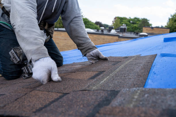 Best Local Roofing Companies  in North Belle Vernon, PA