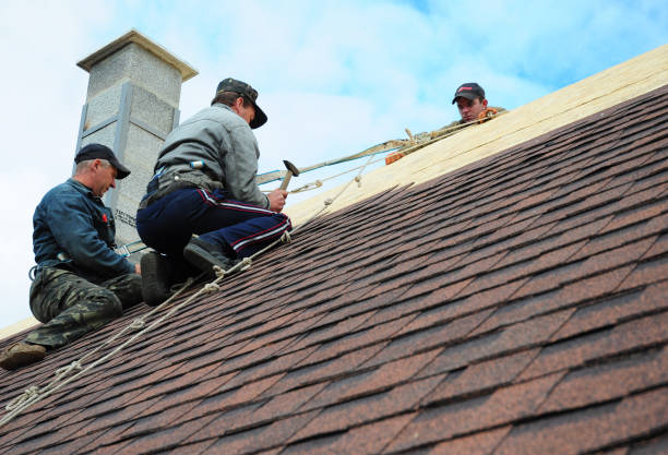 Best Roof Maintenance Services  in North Belle Vernon, PA